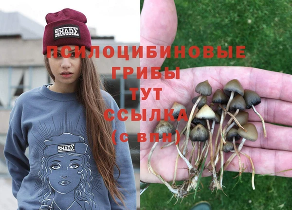гашик Баксан
